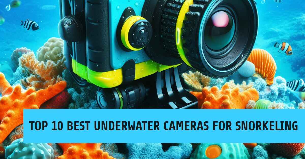 Top 10 Cheap and Best Underwater Cameras for Snorkeling