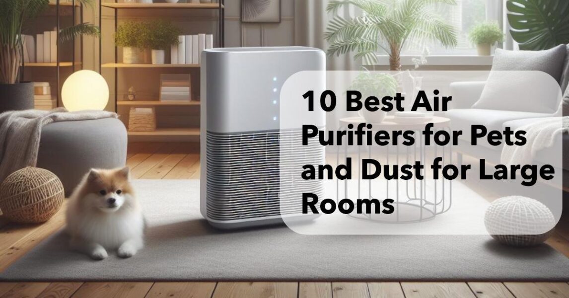 10 Best Air Purifiers for Pets and Dust for Large Rooms